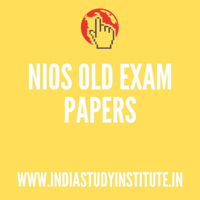 Basic Computing NIOS 2010 November Exam Hindi Download in PDF